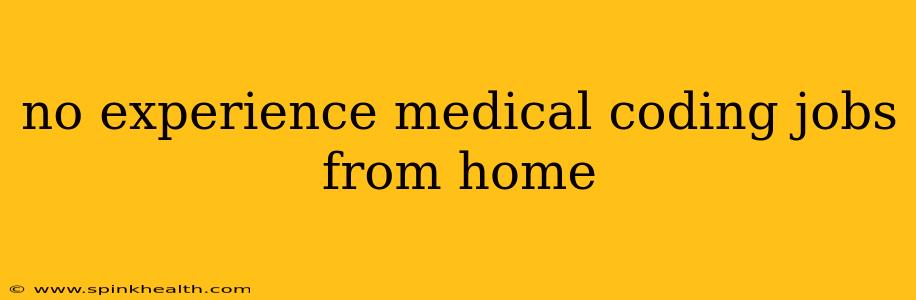 no experience medical coding jobs from home