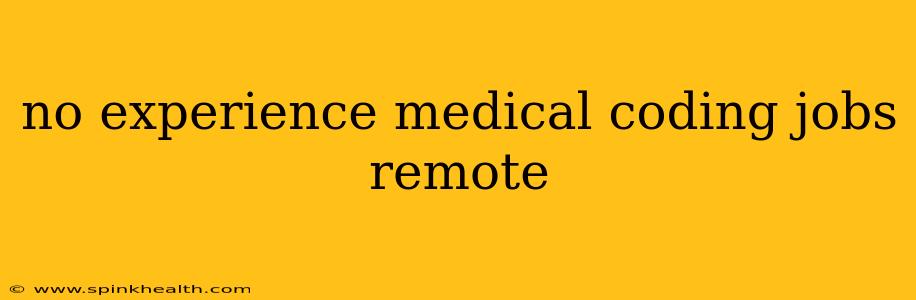 no experience medical coding jobs remote