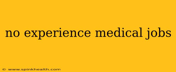 no experience medical jobs