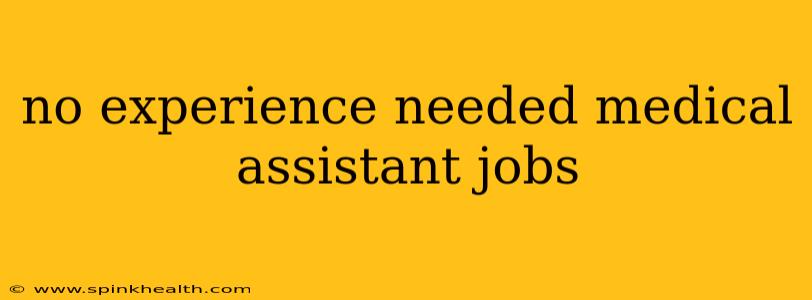 no experience needed medical assistant jobs
