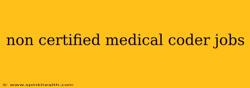 non certified medical coder jobs