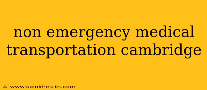 non emergency medical transportation cambridge