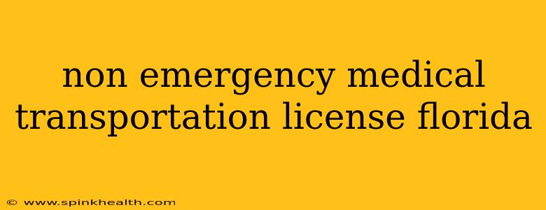 non emergency medical transportation license florida
