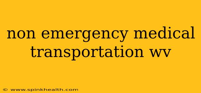 non emergency medical transportation wv