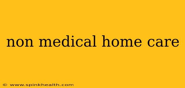 non medical home care