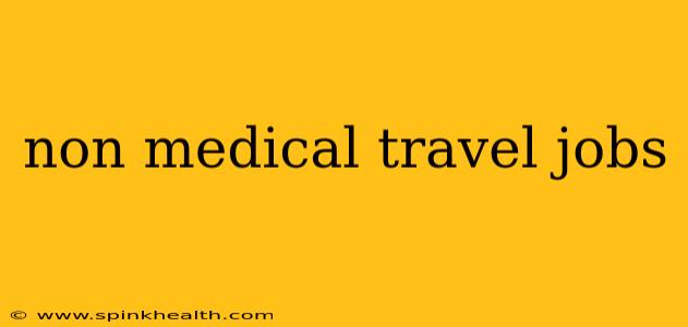 non medical travel jobs