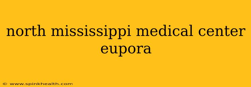 north mississippi medical center eupora