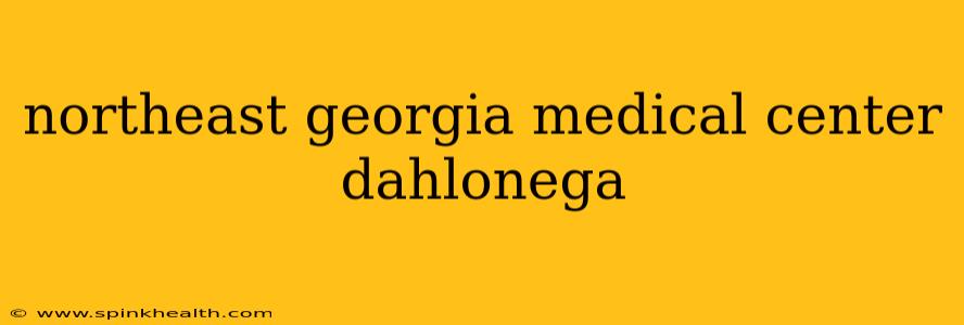 northeast georgia medical center dahlonega