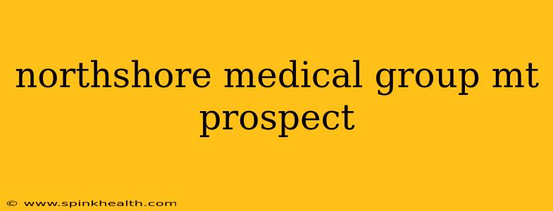 northshore medical group mt prospect