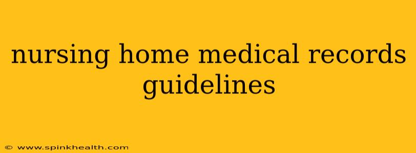 nursing home medical records guidelines