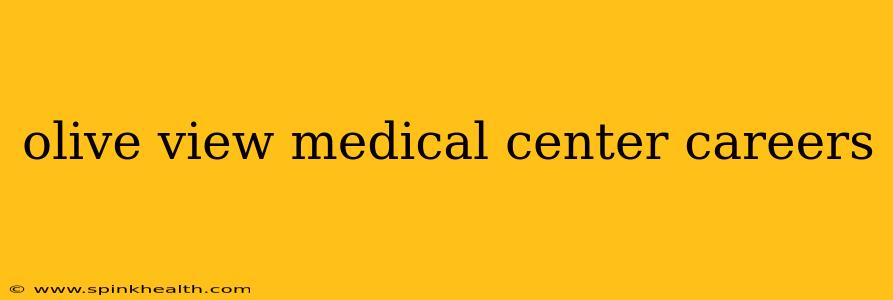olive view medical center careers
