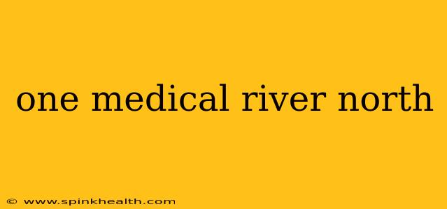 one medical river north
