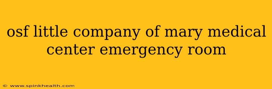 osf little company of mary medical center emergency room