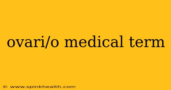 ovari/o medical term