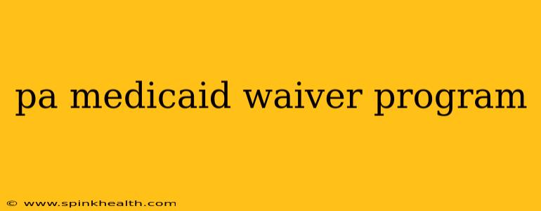 pa medicaid waiver program