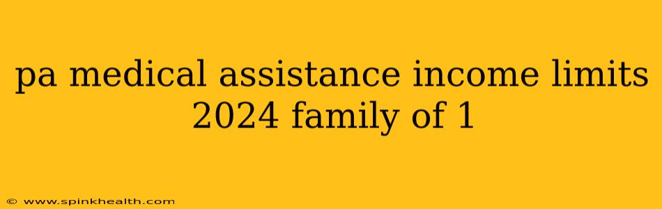 pa medical assistance income limits 2024 family of 1