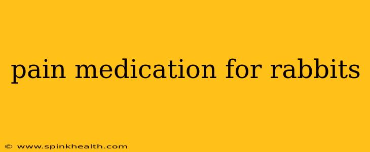 pain medication for rabbits