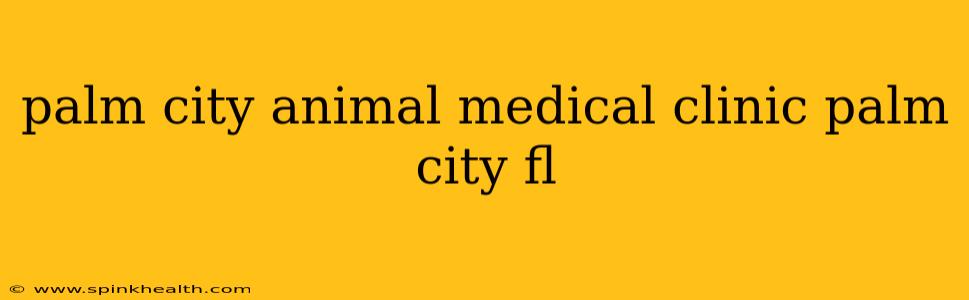 palm city animal medical clinic palm city fl