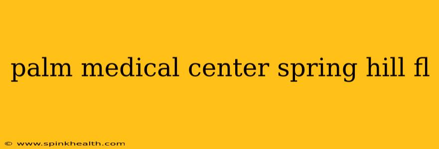 palm medical center spring hill fl