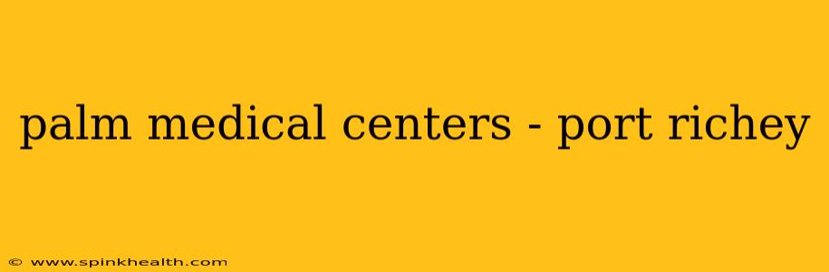 palm medical centers - port richey