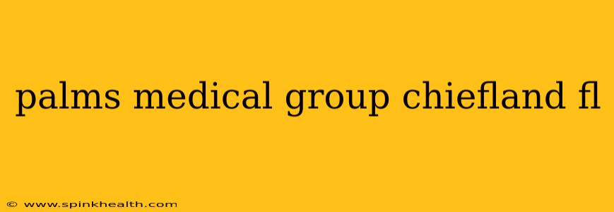palms medical group chiefland fl