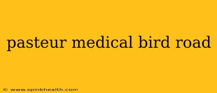 pasteur medical bird road