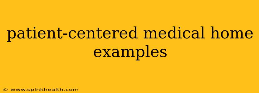 patient-centered medical home examples