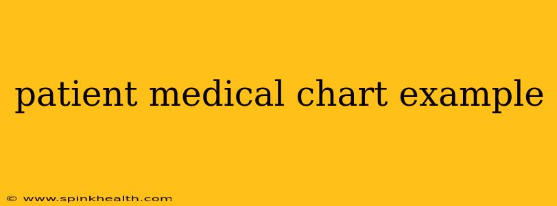 patient medical chart example