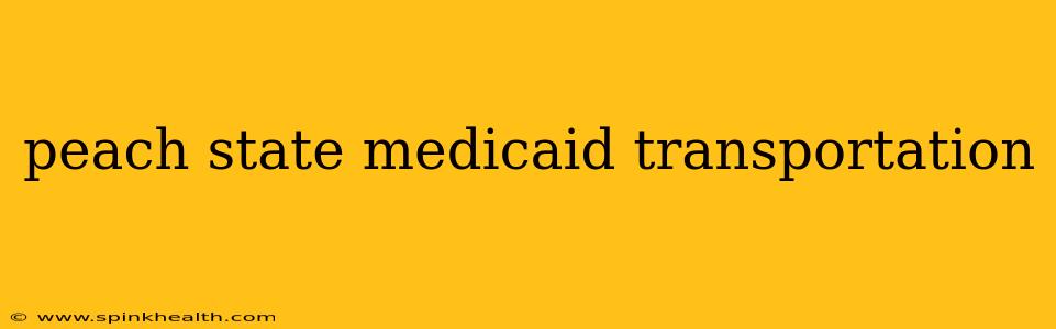 peach state medicaid transportation