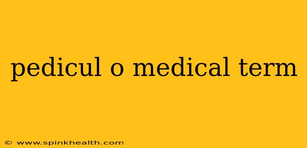 pedicul o medical term