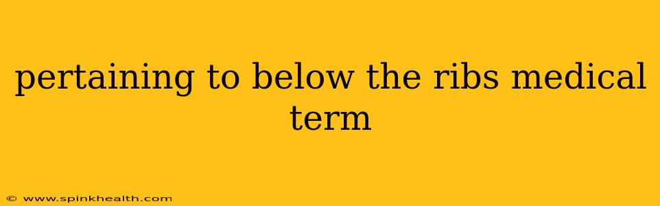 pertaining to below the ribs medical term