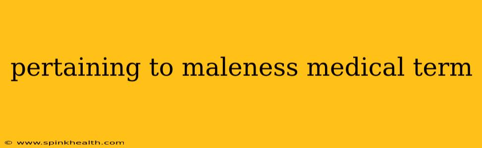 pertaining to maleness medical term