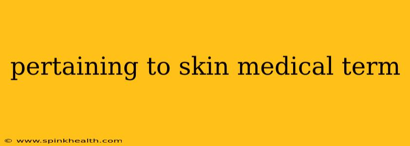 pertaining to skin medical term