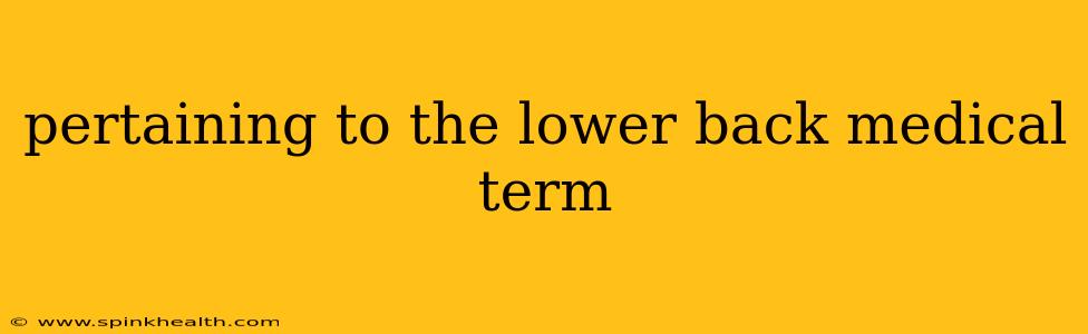 pertaining to the lower back medical term