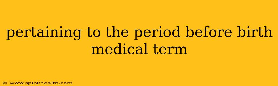 pertaining to the period before birth medical term