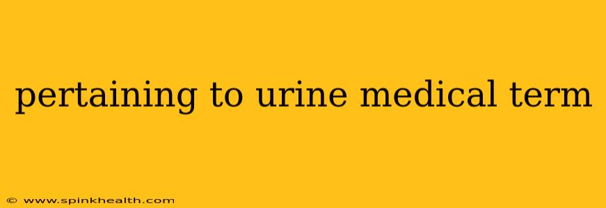 pertaining to urine medical term