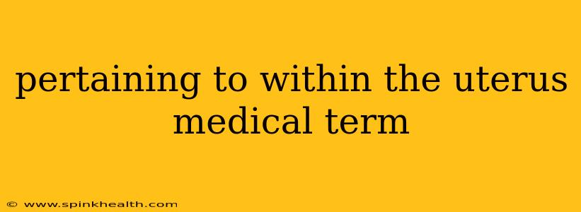 pertaining to within the uterus medical term