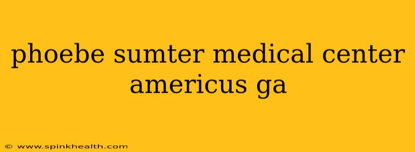 phoebe sumter medical center americus ga