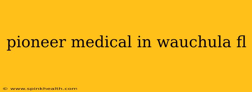pioneer medical in wauchula fl