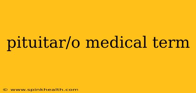 pituitar/o medical term