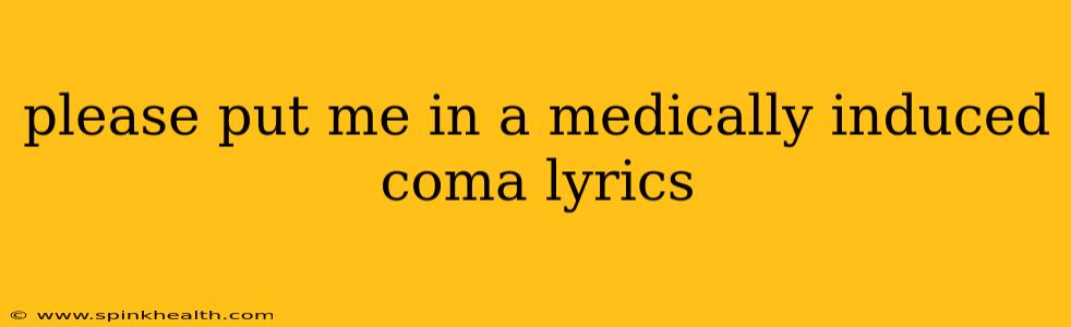 please put me in a medically induced coma lyrics