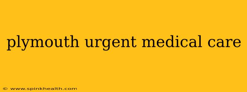 plymouth urgent medical care