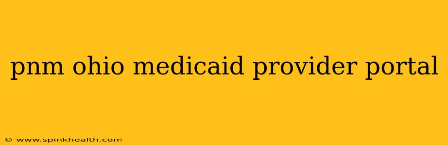 pnm ohio medicaid provider portal