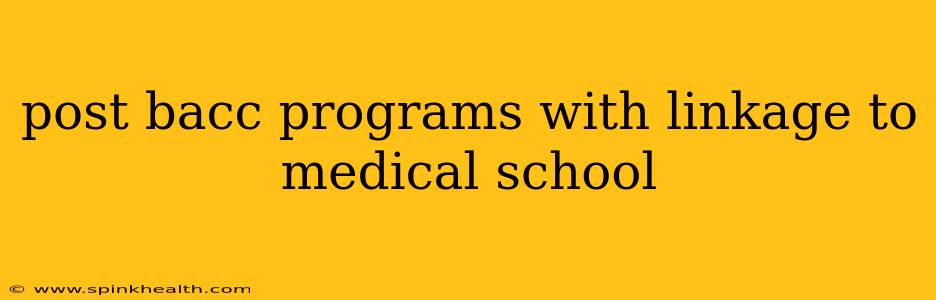 post bacc programs with linkage to medical school