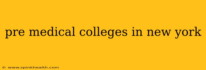 pre medical colleges in new york