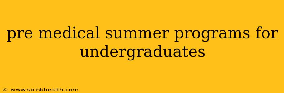 pre medical summer programs for undergraduates
