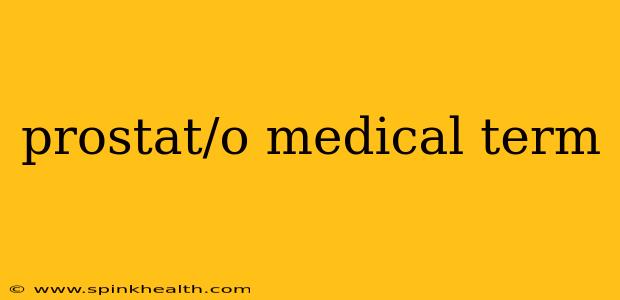 prostat/o medical term