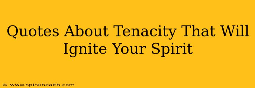 Quotes About Tenacity That Will Ignite Your Spirit
