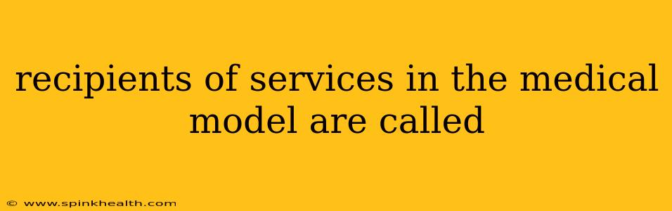 recipients of services in the medical model are called