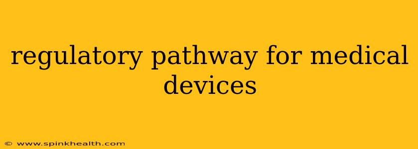 regulatory pathway for medical devices